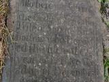 image of grave number 433331